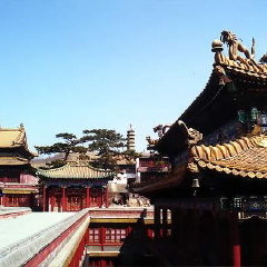 景点模块 