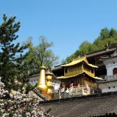 景点模块 