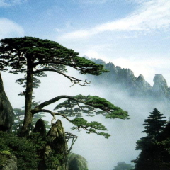 景点模块 