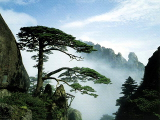 華東旅游跟團需多少錢_華東旅游花費一般多少_華東游跟團