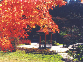 江西廬山游花多少錢_江西廬山游跟團(tuán)多少錢2021_到江西廬山旅游