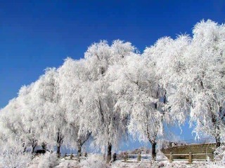 团哈尔滨旅游_去哈尔滨的旅游费用_哈尔滨8天旅游