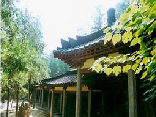 華山旅游要多少錢2021_華山游特價團_華山報團多少錢