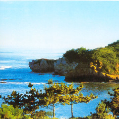 景点模块 