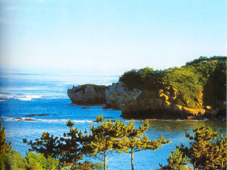 春节期间青岛旅游_去青岛旅游询价_深圳青岛旅游5天