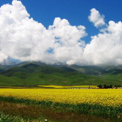 景点模块 