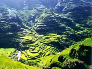 廣州云南昆明旅游團_去云南昆明旅游_云南昆明旅游團報價