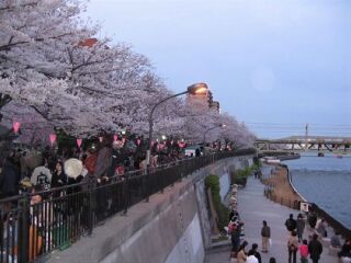 日本跟团旅游价格_广州日本旅游团_日本7天游