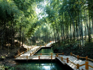 跟团旅游去华东_华东生活旅游_到华东旅游6日