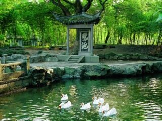 杭州-乌镇-西塘5日旅游团_杭州-乌镇-西塘8日游_至杭州-乌镇-西塘旅行