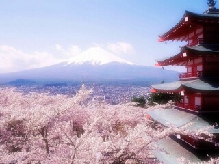 日本旅游最佳路線_日本旅游幾月份最便宜_深圳日本六日游純玩團(tuán)
