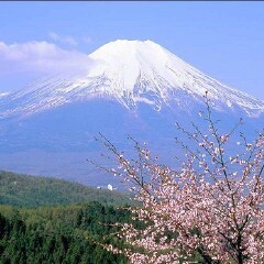 富士山 景点模块