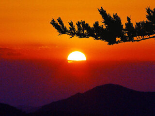 重慶三峽游花多少錢(qián)_重慶三峽旅游幾月份最合適_幾月份去重慶三峽旅游最好