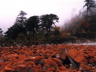 旅行团稻城亚丁游_至稻城亚丁旅游_跟团去稻城亚丁旅行