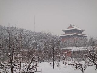 北京10日游旅行团_跟团北京旅游价格_到北京旅游多少钱