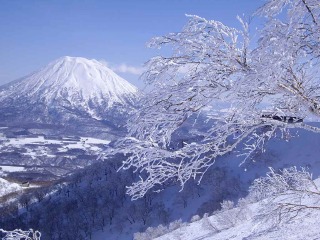 日本跟团旅游价格_广州日本旅游团_日本7天游