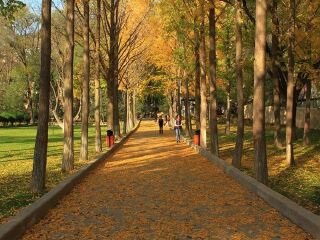 去西安華山靠譜的旅行團(tuán)_西安華山自由行還是跟團(tuán)好_2021年西安華山旅游團(tuán)報(bào)價(jià)