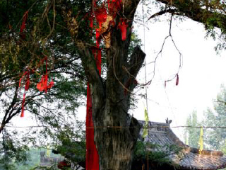 山西九月旅游_山西十一旅游團(tuán)_山西旅游花多少錢(qián)