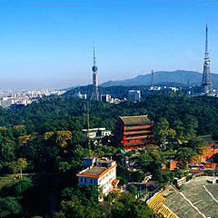 景点模块 