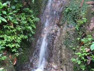 云南西雙版納2人旅游需要多少錢_到云南西雙版納旅游_云南西雙版納組團(tuán)旅游
