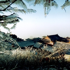 景点模块 