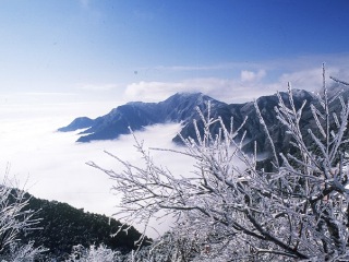 廬山旅游路線_廬山旅游價格多少跟團_廬山跟團游與自由行