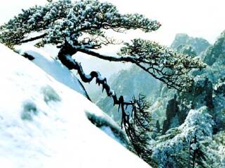 華山游價(jià)格_華山旅游需要多少錢_華山自由游價(jià)格多少