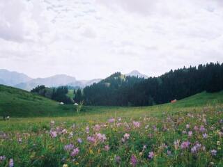 春节前去山西旅游_旅游团山西游报价_山西旅游行程报价