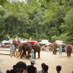 景点模块 