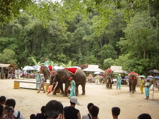 2021去云南麗江旅游團(tuán)報(bào)價(jià)_現(xiàn)在去云南麗江旅游多少錢_云南麗江旅游花費(fèi)一般多少