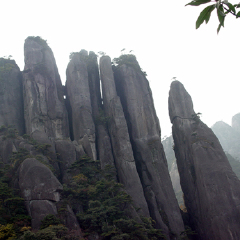 景点模块 