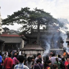 景点模块 