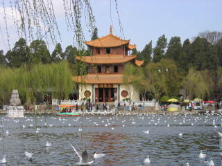丽江旅行哪家好_跟团旅游网丽江_到丽江旅游跟团