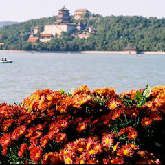 景点模块 