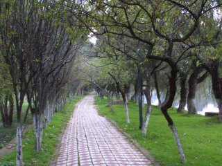 丽江旅行哪家好_跟团旅游网丽江_到丽江旅游跟团