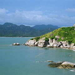 活动模块 