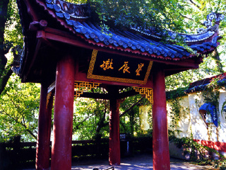 去长江黄金系列邮轮旅游的价钱_最近长江黄金系列邮轮旅游_长江黄金系列邮轮旅行团行程