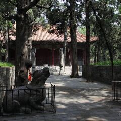 景点模块 