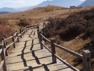 旅游去云南香格里拉_到云南香格里拉旅游_云南香格里拉九月旅游