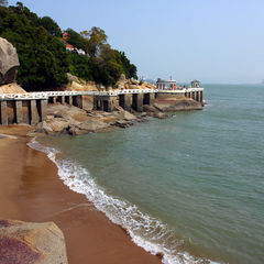 活动模块 