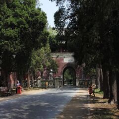 景点模块 