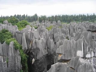 西双版纳七日游价格_西双版纳跟团旅游价格_西双版纳旅游跟团游
