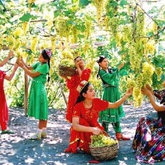 景点模块 