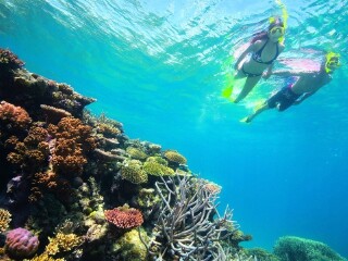 越南旅游幾月份最合適_越南六日游_越南曼谷旅游多少錢