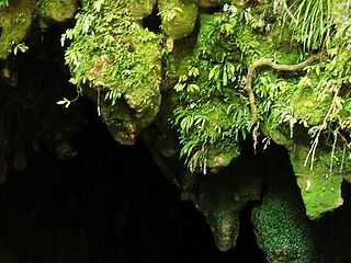 澳洲新西蘭十一日游多少錢_跟團(tuán)澳洲新西蘭旅游價(jià)格表_澳洲新西蘭九月旅游