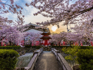 日本旅游最佳路線_日本旅游幾月份最便宜_深圳日本六日游純玩團(tuán)