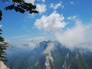 去河南旅游组团_河南旅游参团_河南旅行报团