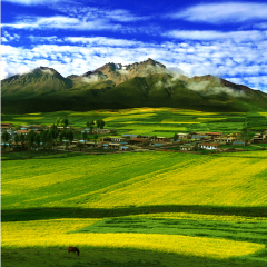 景点模块 
