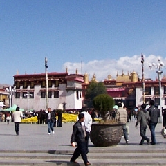 活动模块 