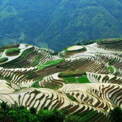 景点模块 